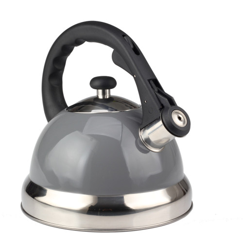 Fastest Boiling Surgical Stainless Steel Tea Kettle