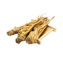 Herb Extracts Chinese angelica root extract Manufactory