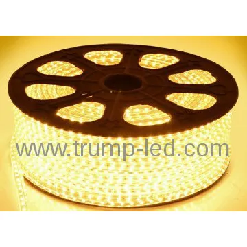 Waterproof 220v 5050 led strip high voltage