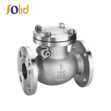 DIN stainless steel check valve cf8m