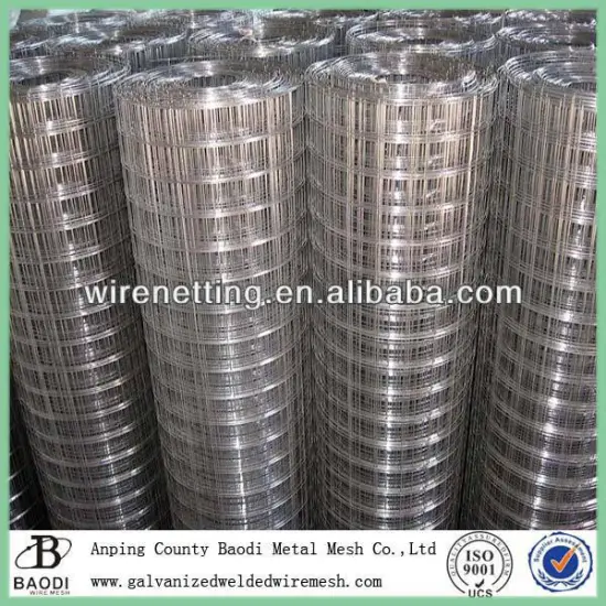 Iron galvanized welded wire mesh dog kennel