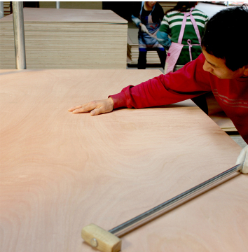 Commercial plywood for sale