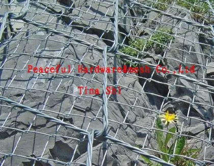 Spider Net (HP-Spider)