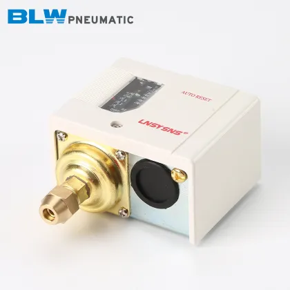 Pneumatic Pressure Controller SSNS-110 Boiler Switch 10 kg Adjustment Pressure Switch