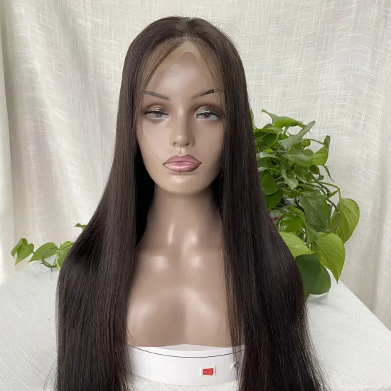 Wholesale price top quality unprocessed raw virgin 100% silky straight human hair lace front wigs brazilian hair