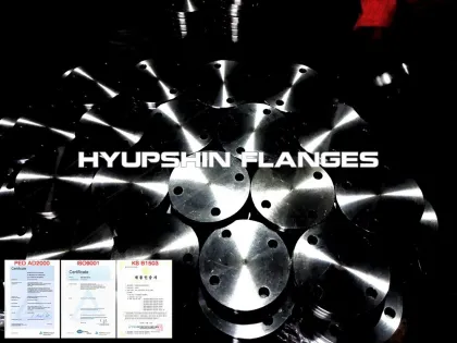 AWWA C207 CLD E RING BLIND A105 Flanges