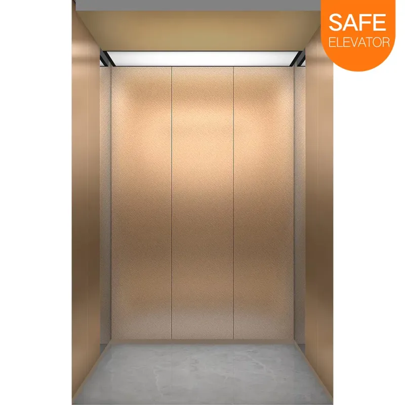 Customized Vvvf Elevator for Residential, Commercial & Building Use