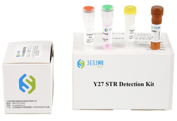 Y27 Plex Str Detection Kit