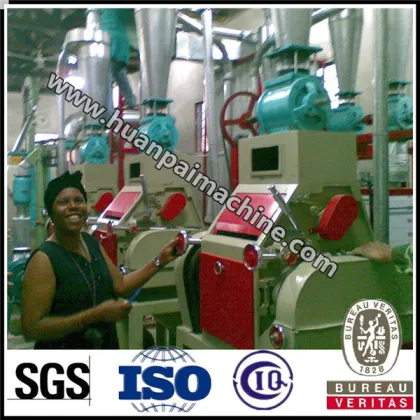 12-14TPD flour milling equipment corn flour equipment corn flour milling machine