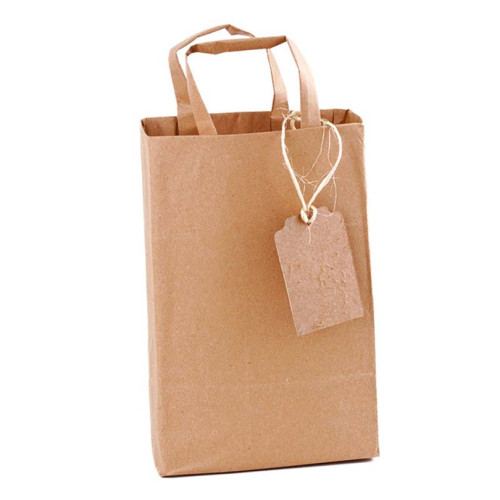 Customized Logo Gift Bag with Handle