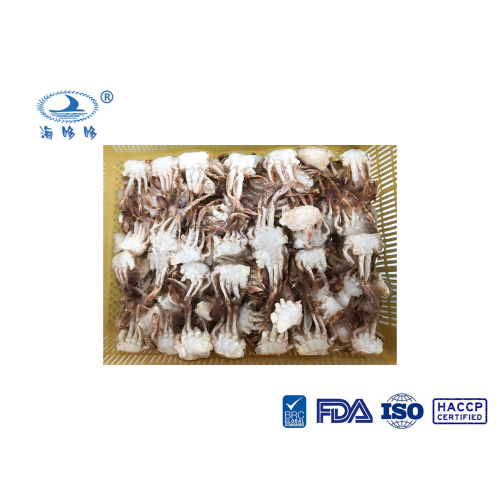 Frozen Sand Crab ຕັດປູ