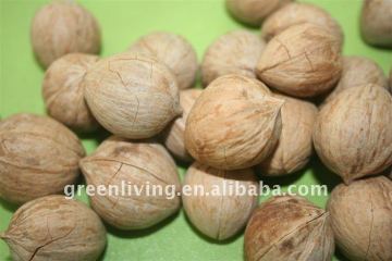 China organic walnuts in shell