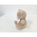 Brown Bear Custom Plush Toy Pends al por mayor