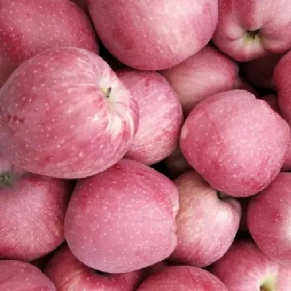 fresh western red star/hongxing apples