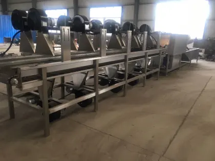 Shandong Zhucheng Vegetable Fruit Washing Drying Line