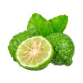 Undiluted Therapeutic bergamot essential oil