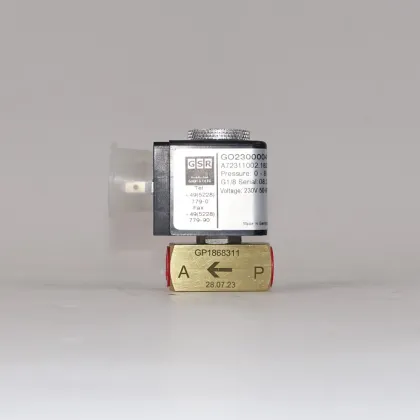 Germany GSR Gas Solenoid Valve G1/8 230V A72311002.182XX