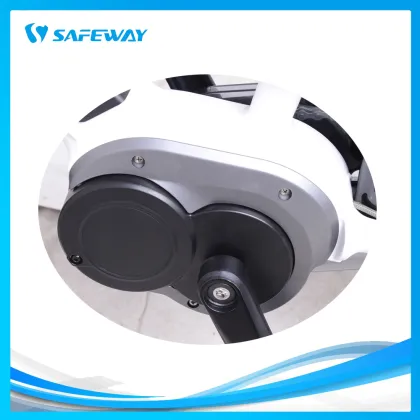 350W mid-drive SHENGYI motor electric bike