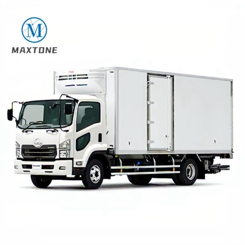 4.2M Fiberglass Surface Freezer Truck Body Box