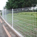 Fence a maglie a doppio filo galvanizzato a polvere