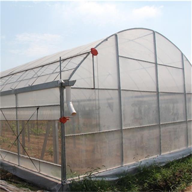 Agricultural Single Span Tunnel plastic for greenhouse