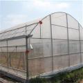 Agricultural Single Span Tunnel Strawberry Greenhouse