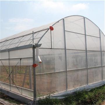 Galvanized Frame Single span PE Film greenhouse