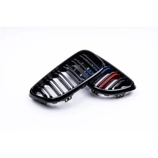 Hot Sale Factory Glossy Black M Color Grille for F22 Car Front Protection