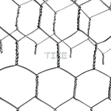 Galvanized Chicken Wire Mesh - Poultry Fish Pot Hexagonal Iron Wire