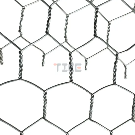 Galvanized Chicken Wire Mesh - Poultry Fish Pot Hexagonal Iron Wire
