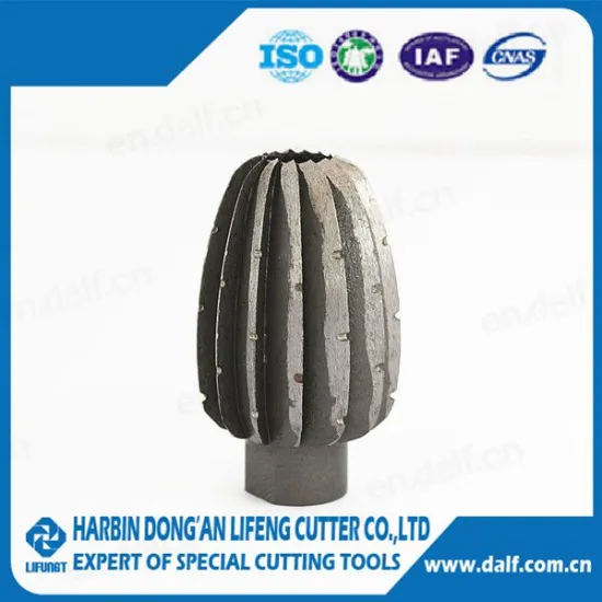 LIFUNGT special customized rotary file burr