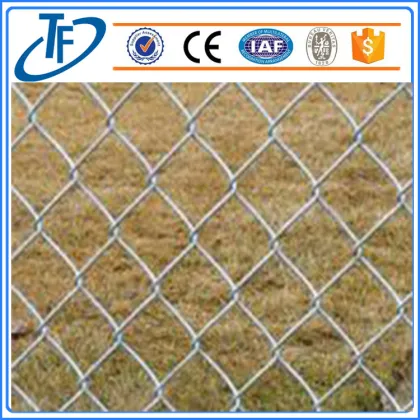 chain-link fences dog kennel