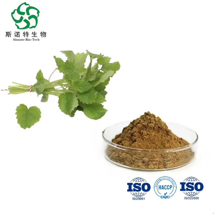 Lemon Balm Extract