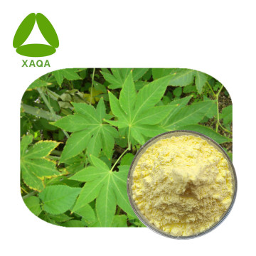 Sweet Tea Extract Rubusoside Powder Natural Sweetening Agent