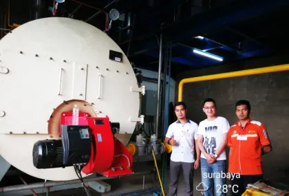 Riello Gas Burner for Steam Boilers