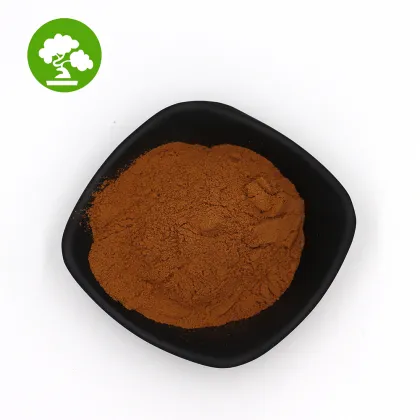 High Quality Natural Chaga Mushroom Extract Chaga Mushroom