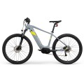 Individuelles Big Tire Electric Bike