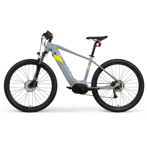 Mid Motor Electric Bicycle Europe