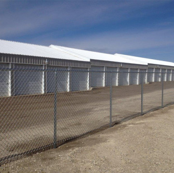 Galvanized Steel Chain Link Fencing