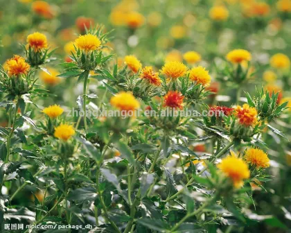 100% Natural Bulk Herbal Safflower Oil