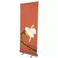 Promoção barata 85-200 Roll up Stand para publicidade