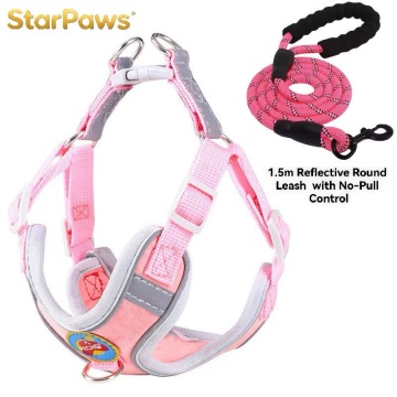 Breathable Dog Harness and Leash Set