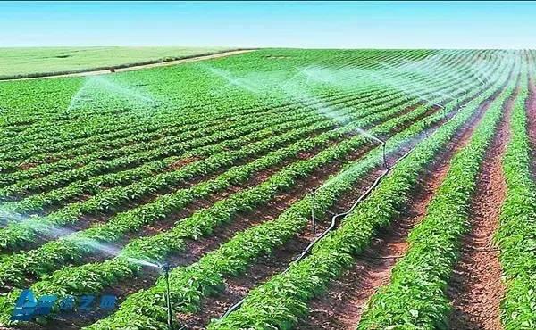 water-saving irrigation