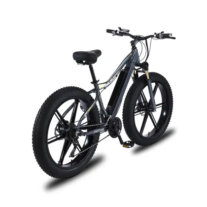 750W Focus E-Bike Bosch Battery Conversion Kit: Enhancing Your Electric Bicycle Experience