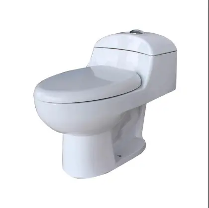 South American Countries Popular Cheap Ceramic Train Public Toilet Seats