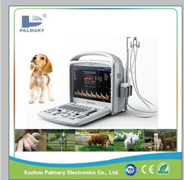Veterinary Color Doppler Ultrasound