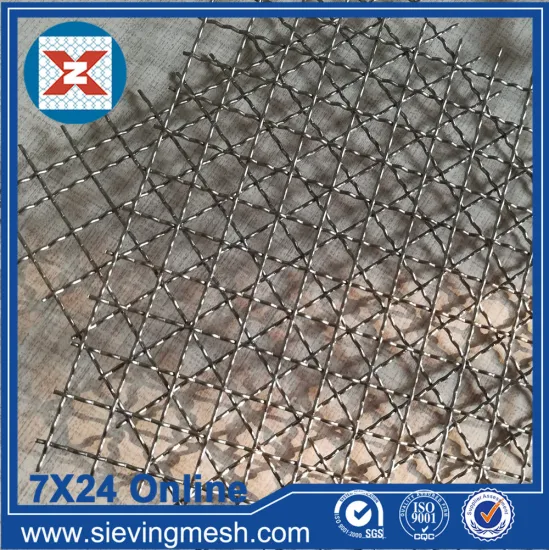 SS 304 Crimped Wire Net
