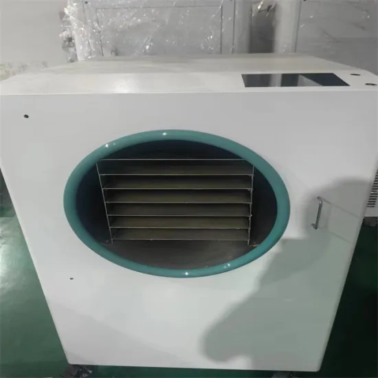 HT-9S Home freeze dryer