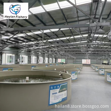Customized Indoor/Outdoor Industrial Fish Farm Shrimp RAS Recirculating Aquaculture System