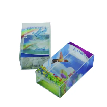 Skincare Plastic Box Packaging OEM ODM